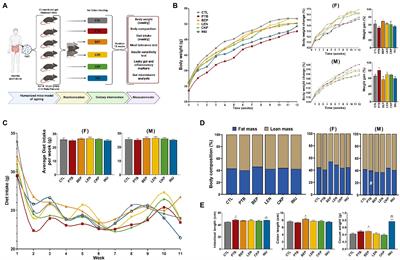Prebiotic mechanisms of resistant starches from dietary beans and pulses on gut microbiome and metabolic health in a humanized murine model of aging